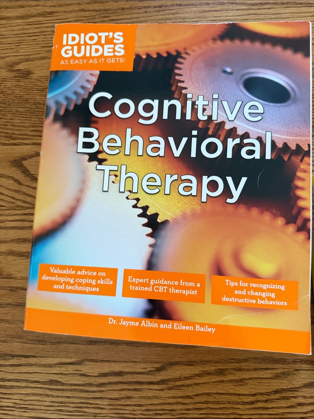 Cognitive Behavioral Therapy Book